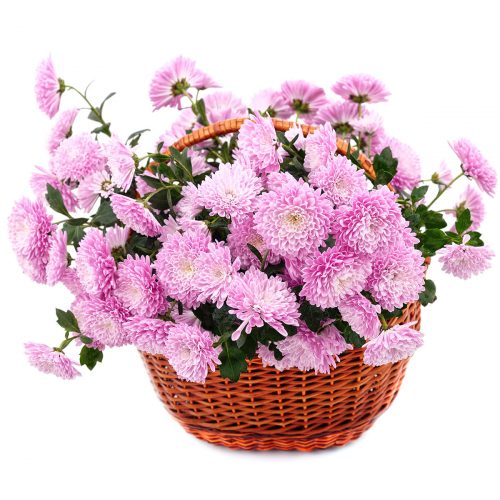 Цветочная композиция «Сиреневая мечта»